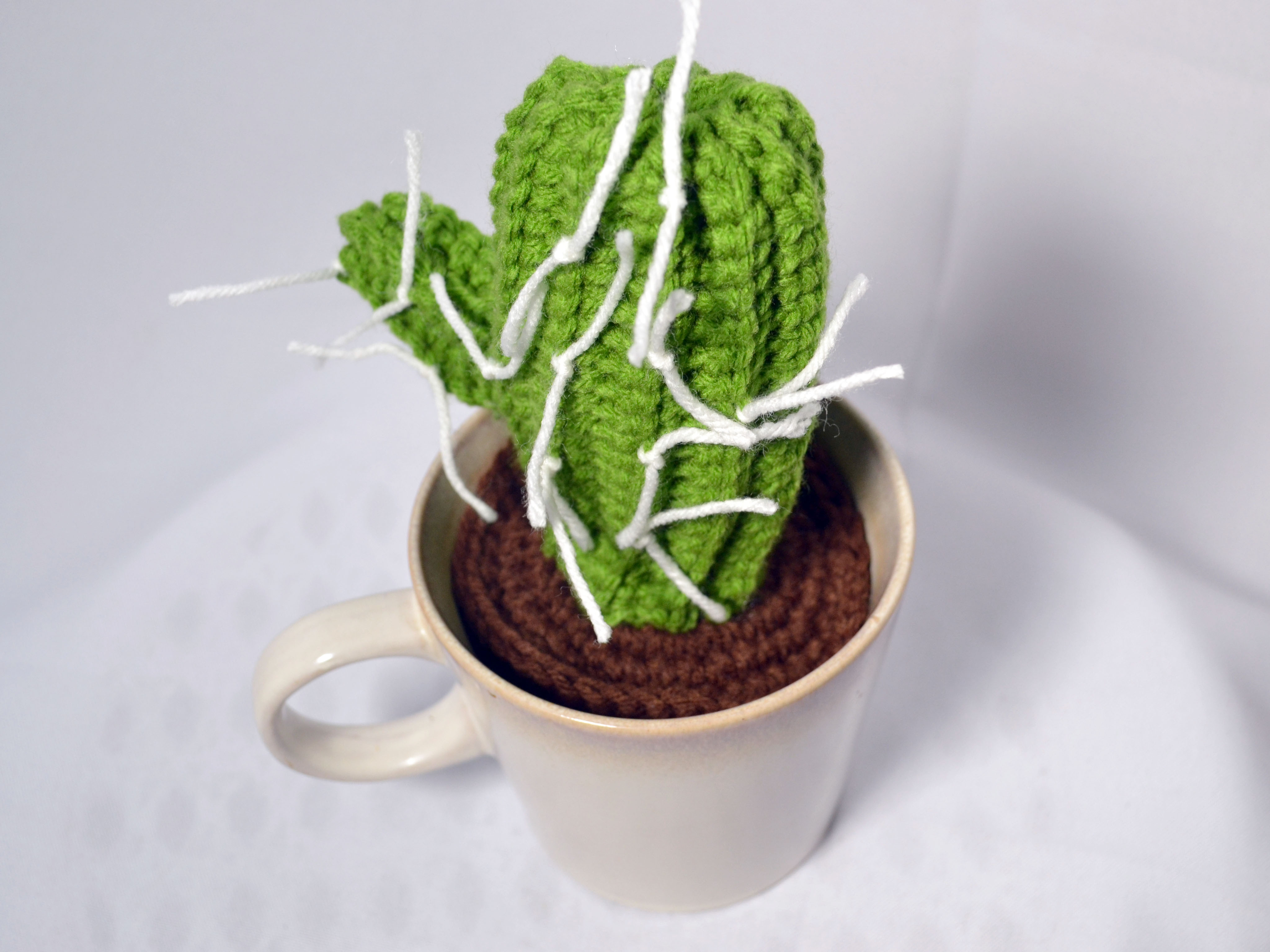 Crochet Cactus Pattern 5 Ways To Crochet A Cactus Wikihow