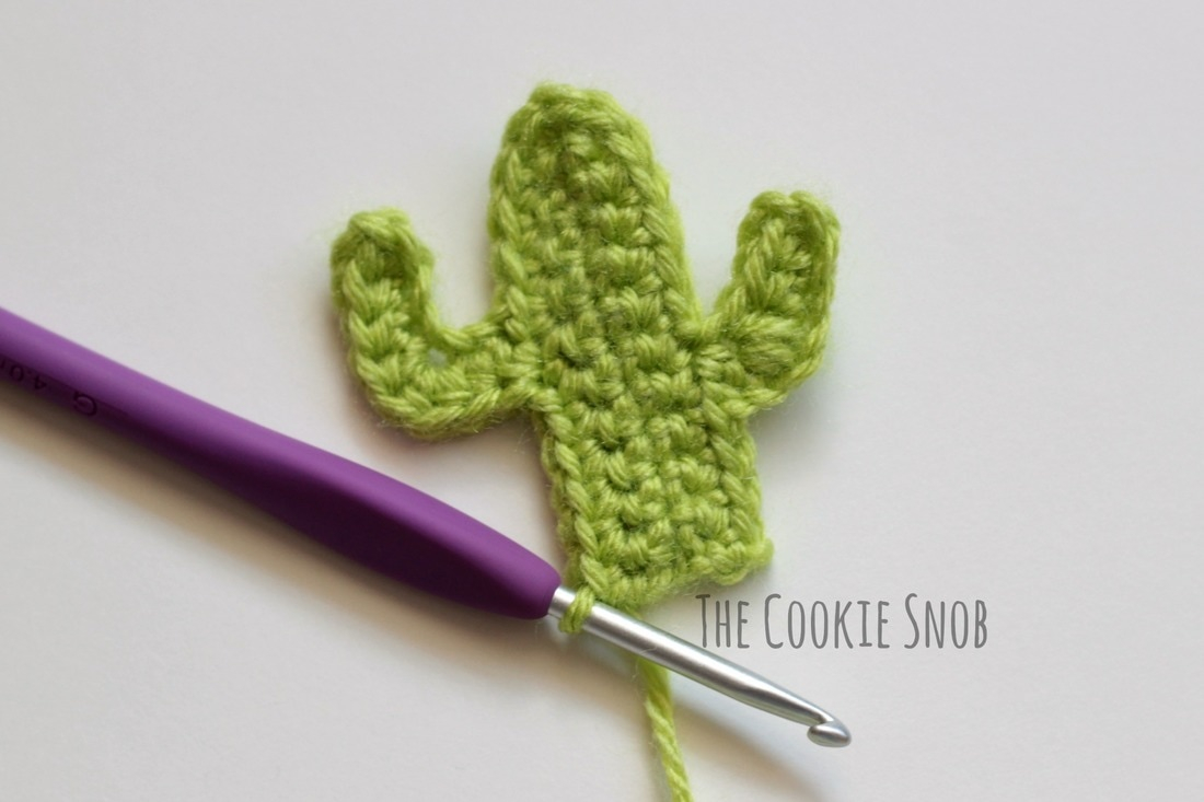 Crochet Cactus Pattern Cactus Appliqu The Cookie Snob