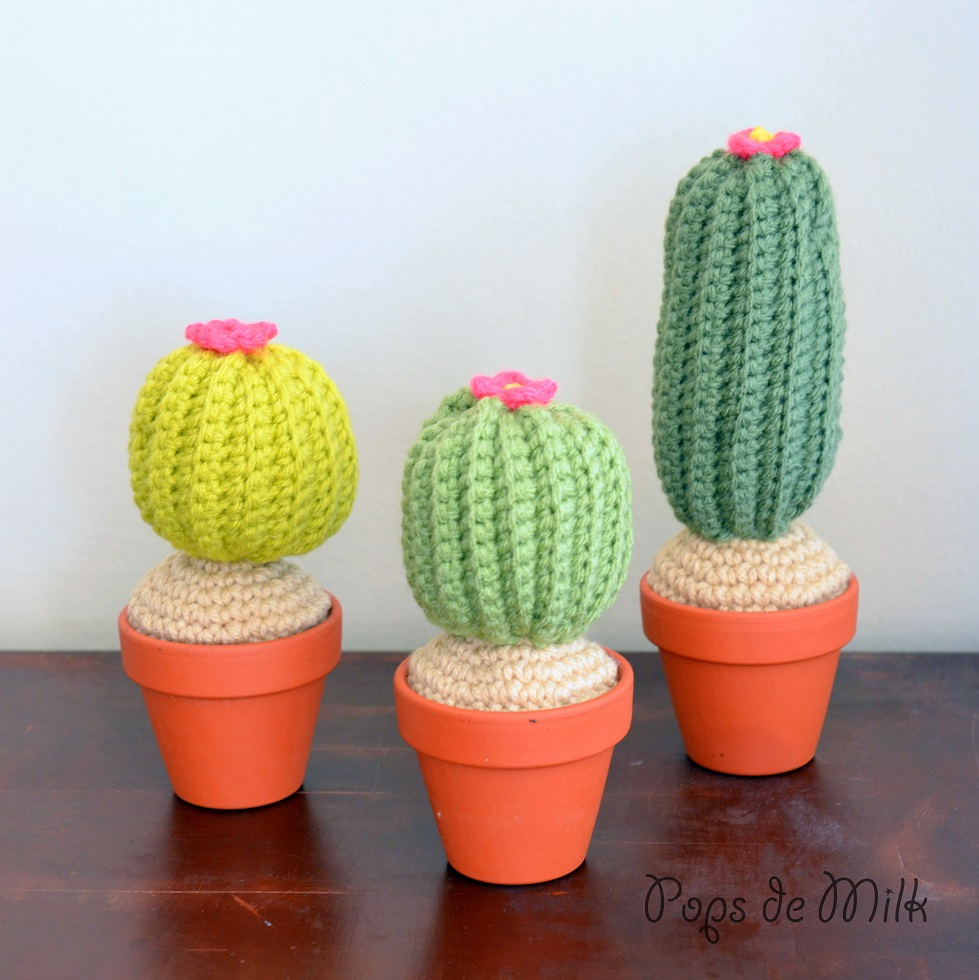 Crochet Cactus Pattern Crochet Cactus Pattern Pops De Milk
