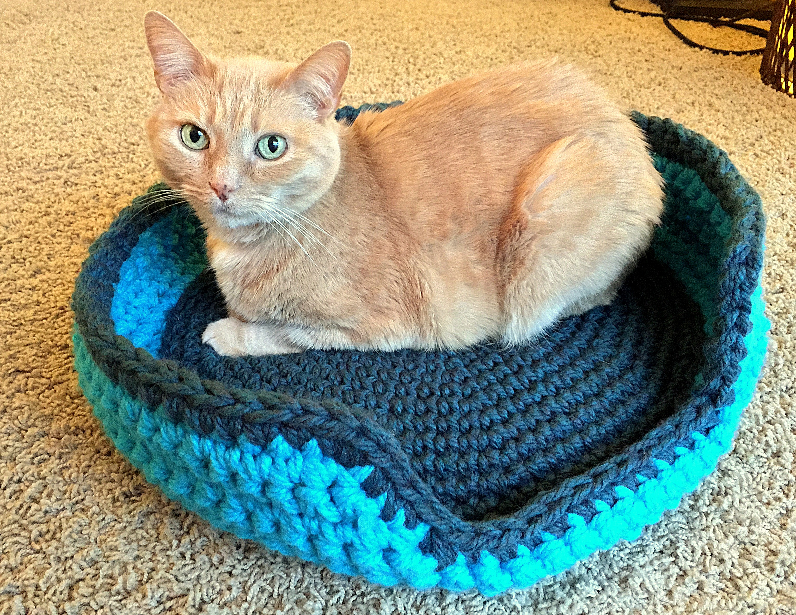 Crochet Cat Bed Pattern Free Cat Bed Lauren Elizabeth Crochet
