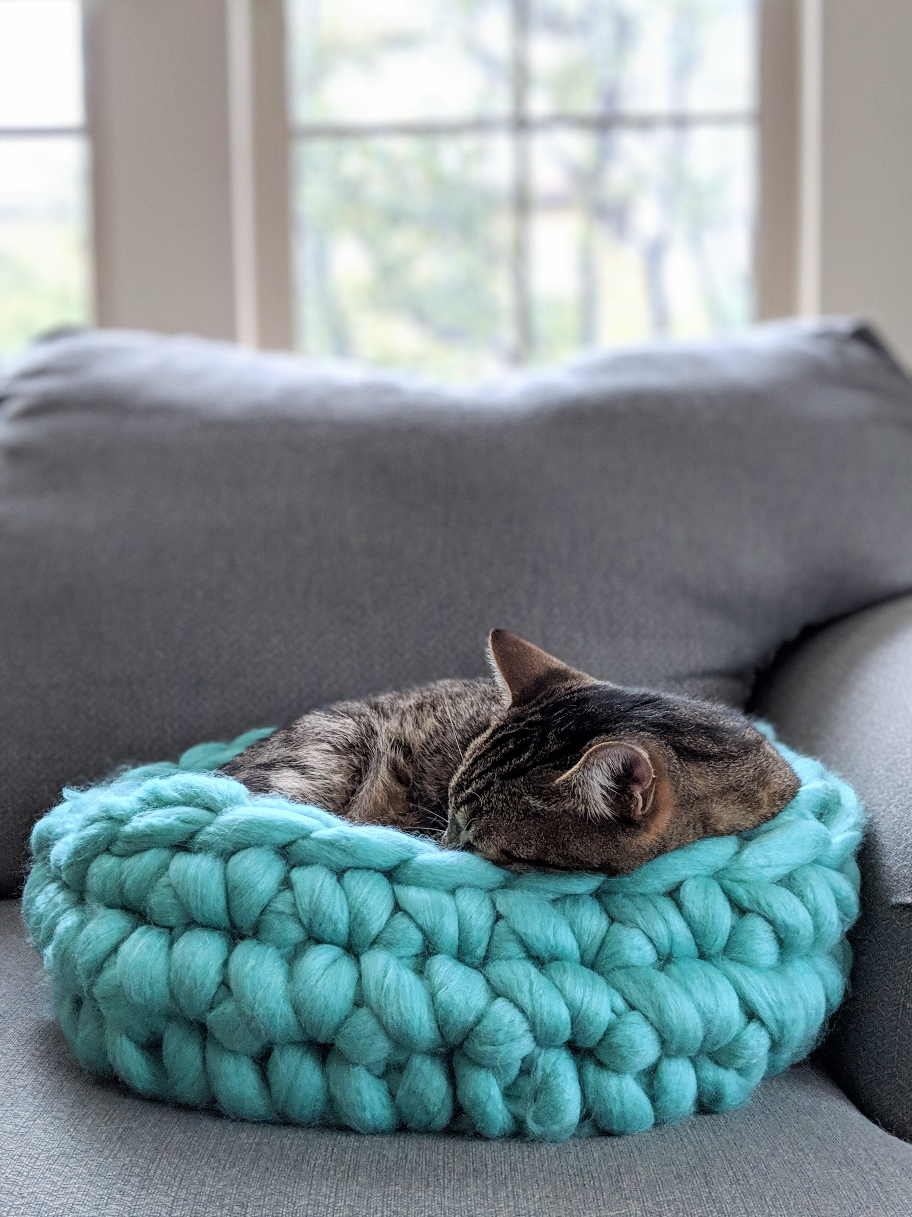 Crochet Cat Bed Pattern Free Crochet Cat Bed Super Big Chunky Yarn Loganberry Handmade