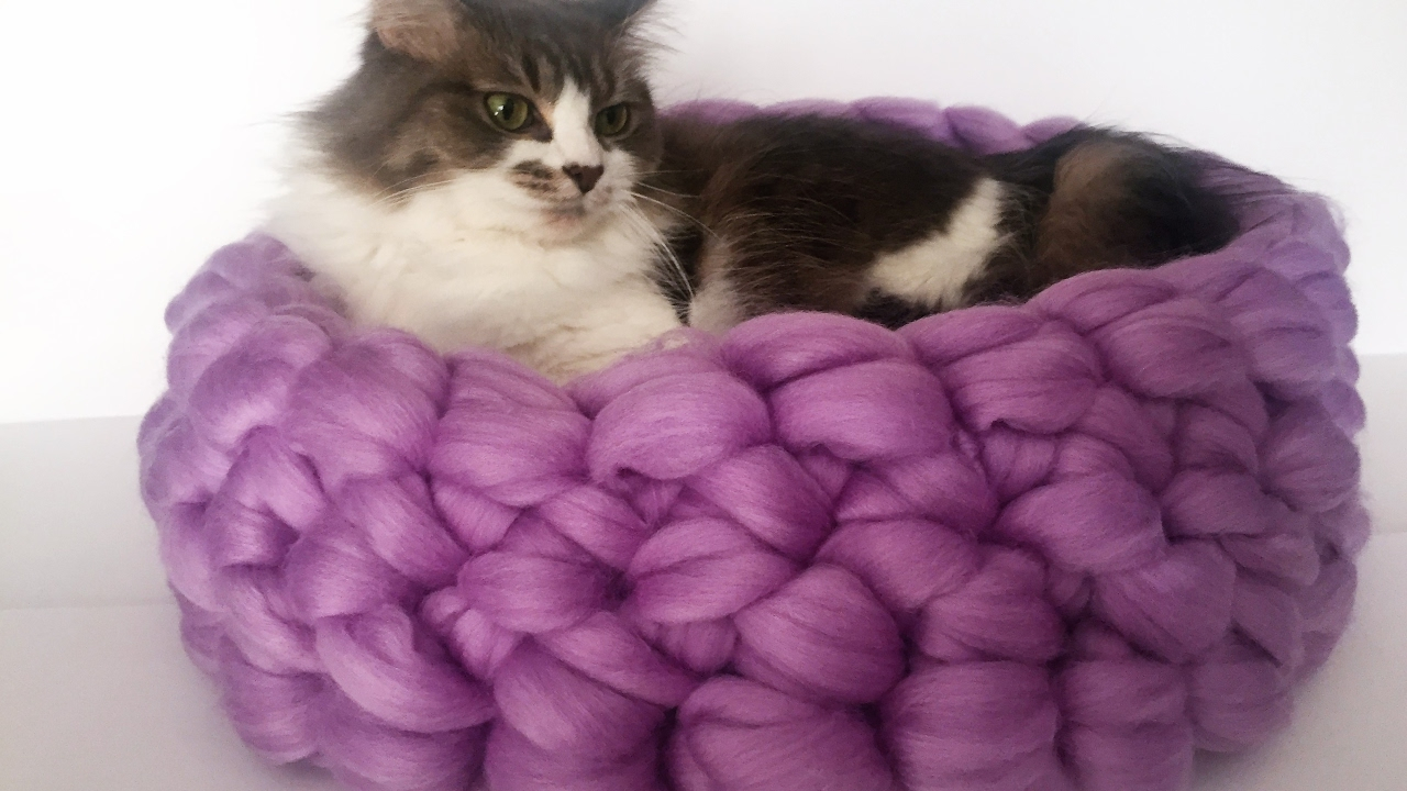 Crochet Cat Bed Pattern Free Hand Crochet Merino Cat Bed In Less Than 30 Minutes 10 Off Youtube