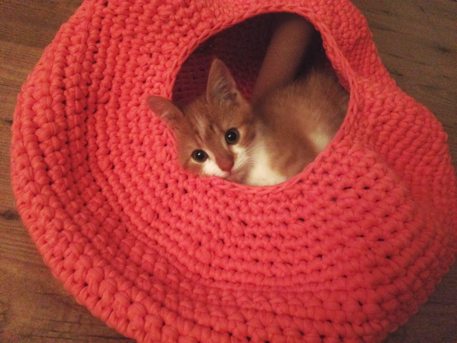 Crochet Cat Bed Pattern Free Lily Razz Crocheted Cat Nest