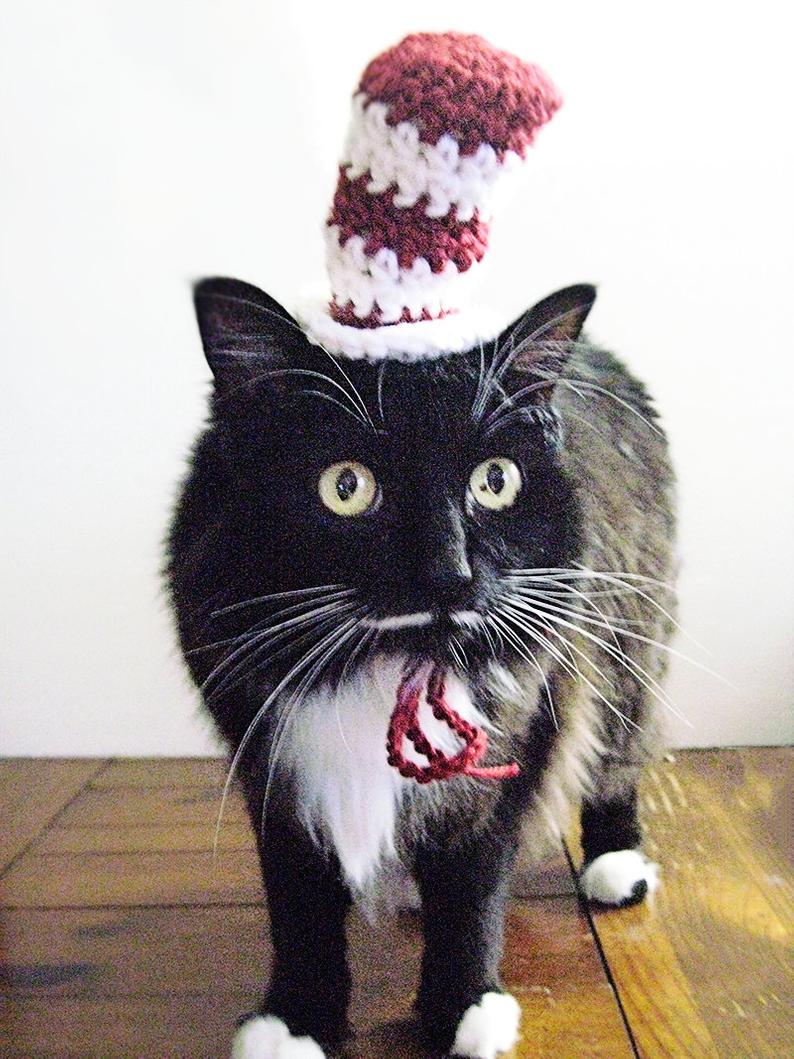 Crochet Cat Hat Pattern Crochet Cat Hat Pattern Hat For Cat Halloween Cat Hat Etsy