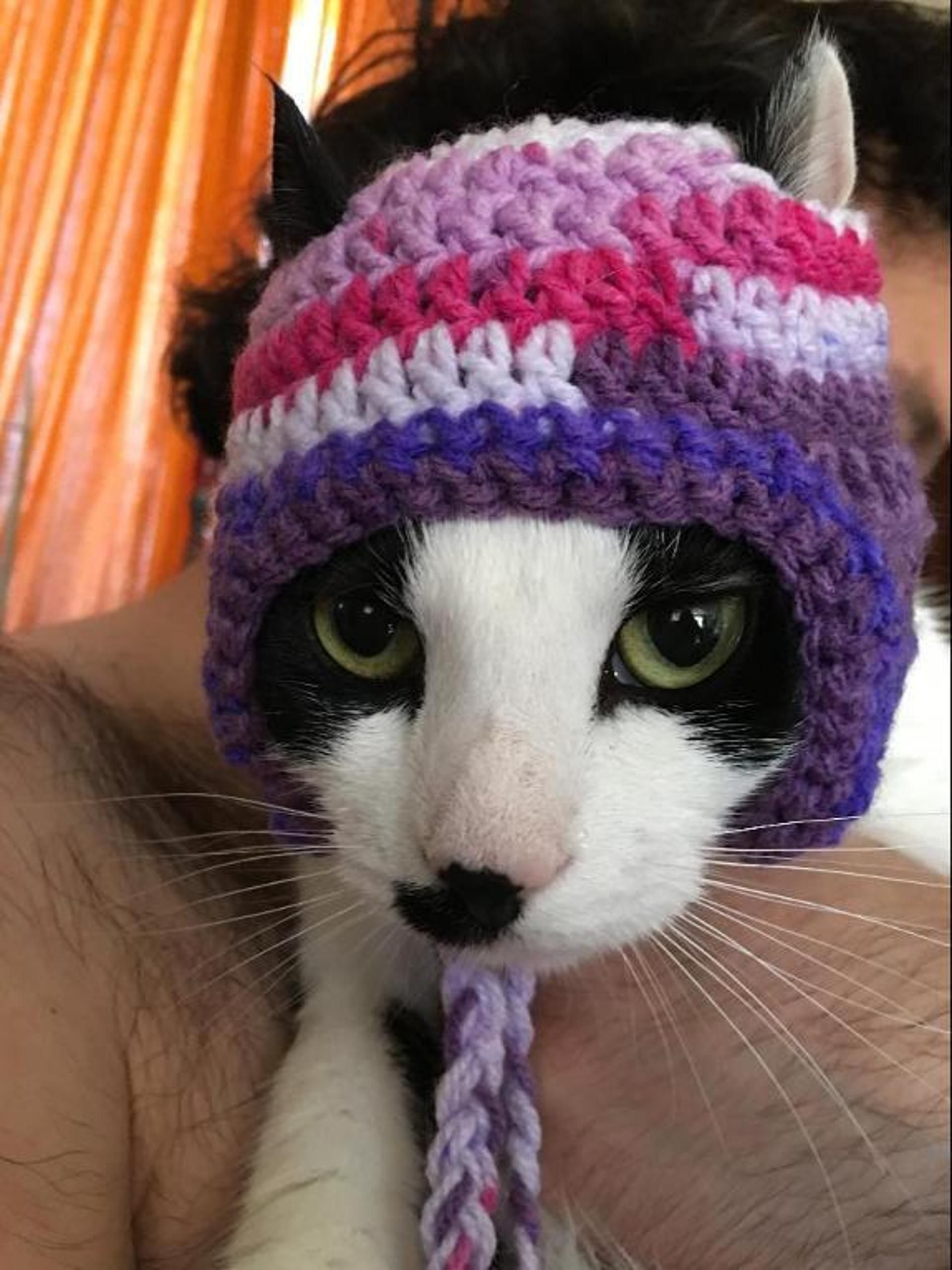 Crochet Cat Hat Pattern Crochet Hats For Cats 7 Crochet Patterns For Cat Hats Crochet