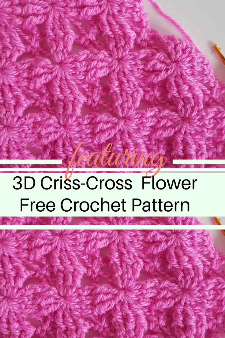 Crochet Cross Pattern Learn A New Crochet Stitch Cute Little 3d Criss Cross Crochet