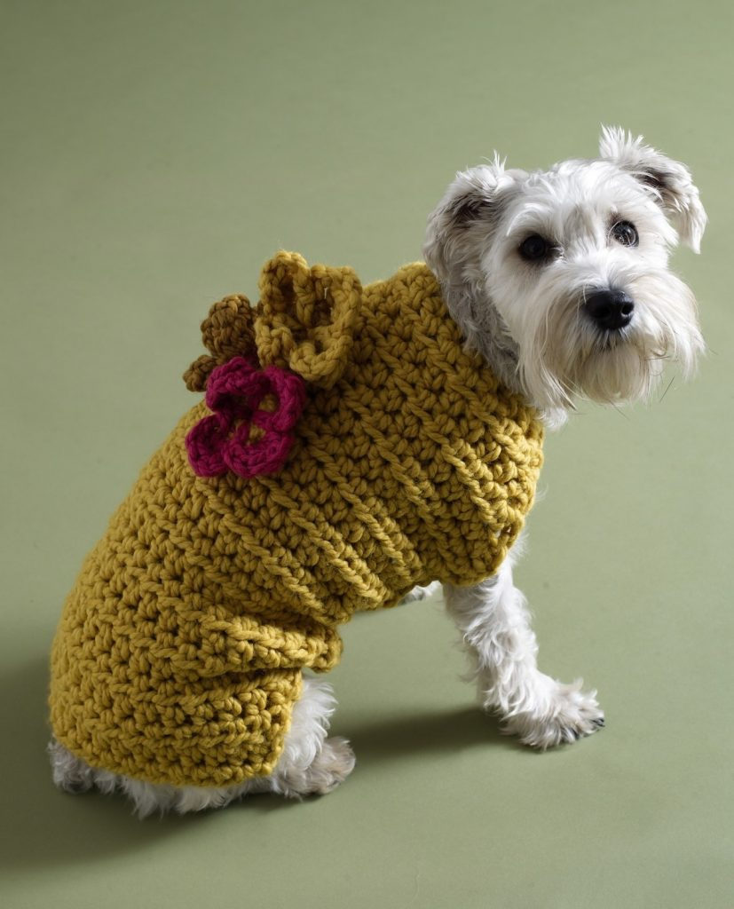 Crochet Dog Pattern A Guide To The Best Free Crochet Dog Sweater Patterns Lucy Kate