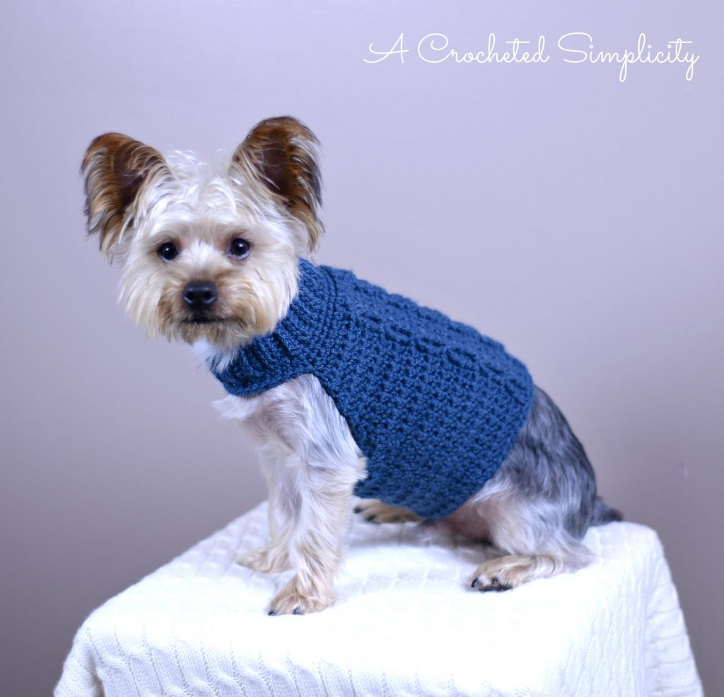 Crochet Dog Pattern Free Charity Crochet Pattern Cabled Dog Sweater A Crocheted