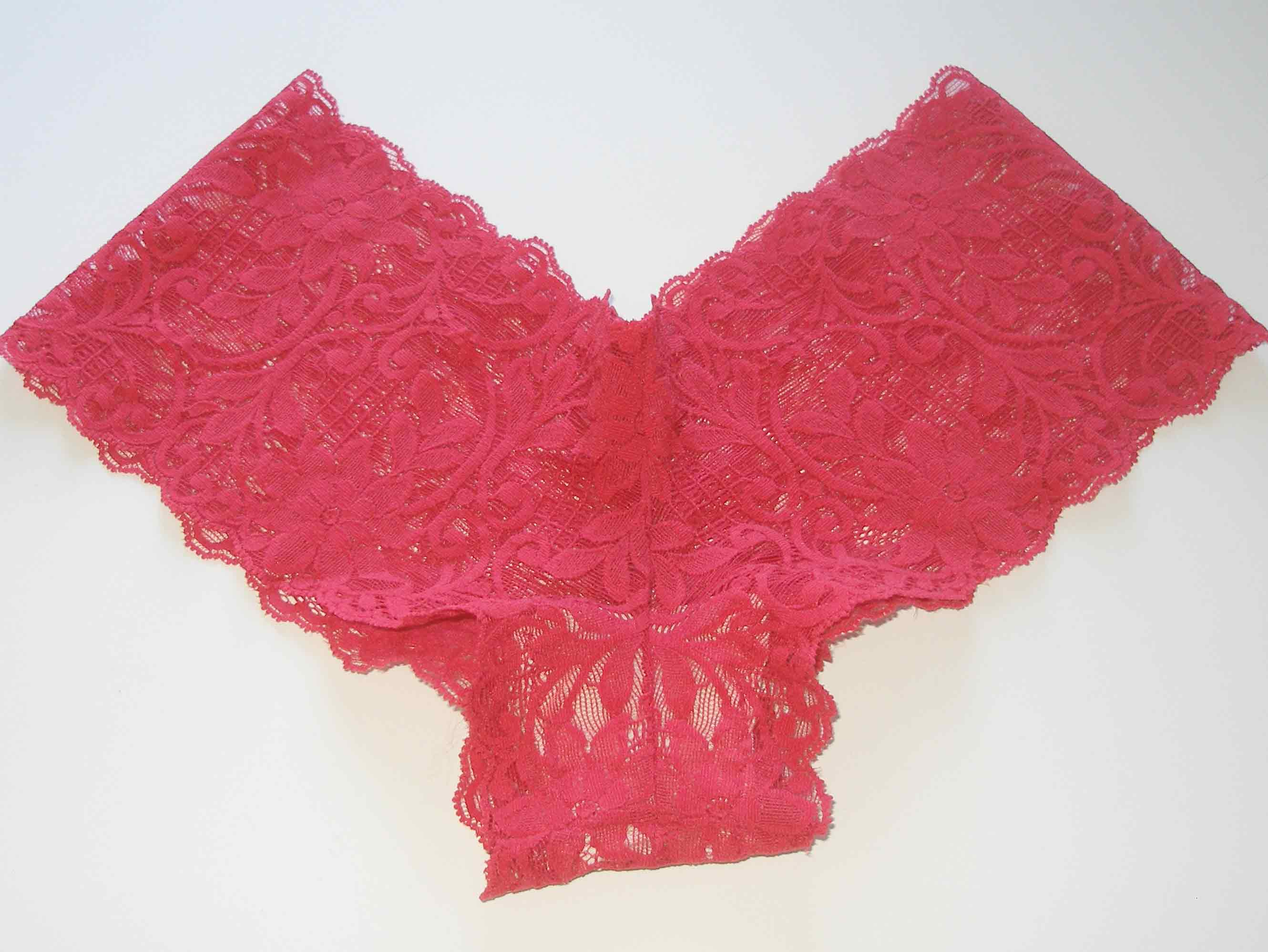 Crochet Lingerie Patterns Sew Your Own Lace Underwear Tutorial And Free Pattern So Sew Easy