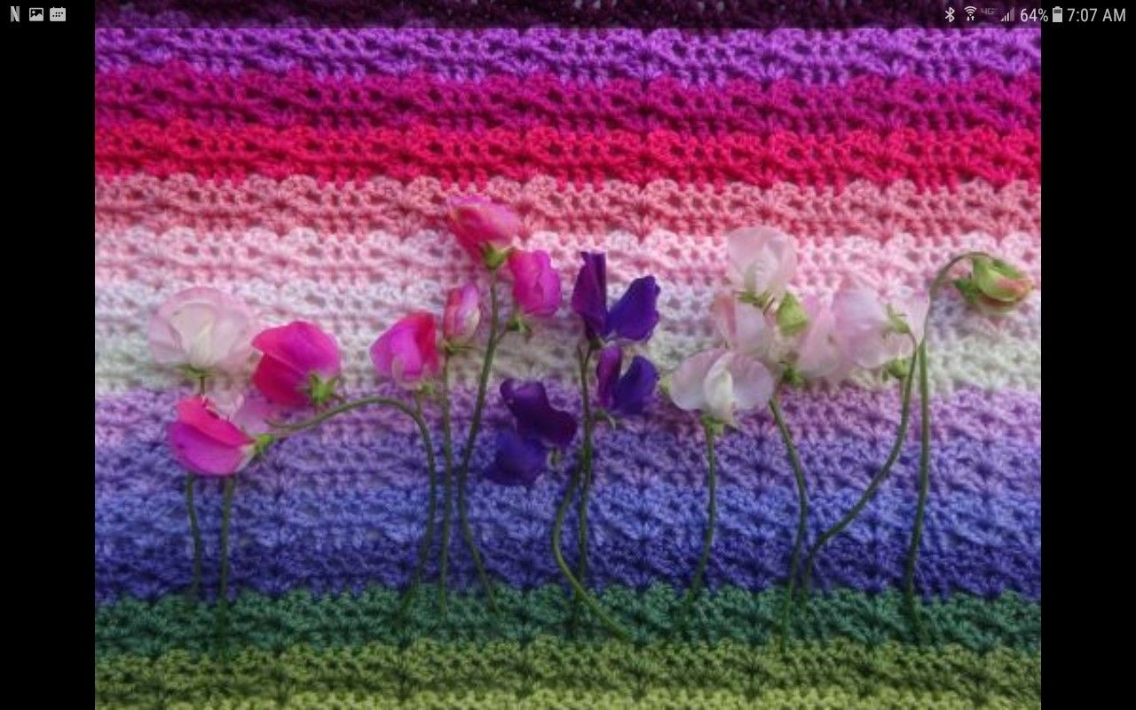 Crochet Sweet Pea Flower Pattern Sweet Pea Blanket Colors Attic 24 Handiwork Crochet Crochet