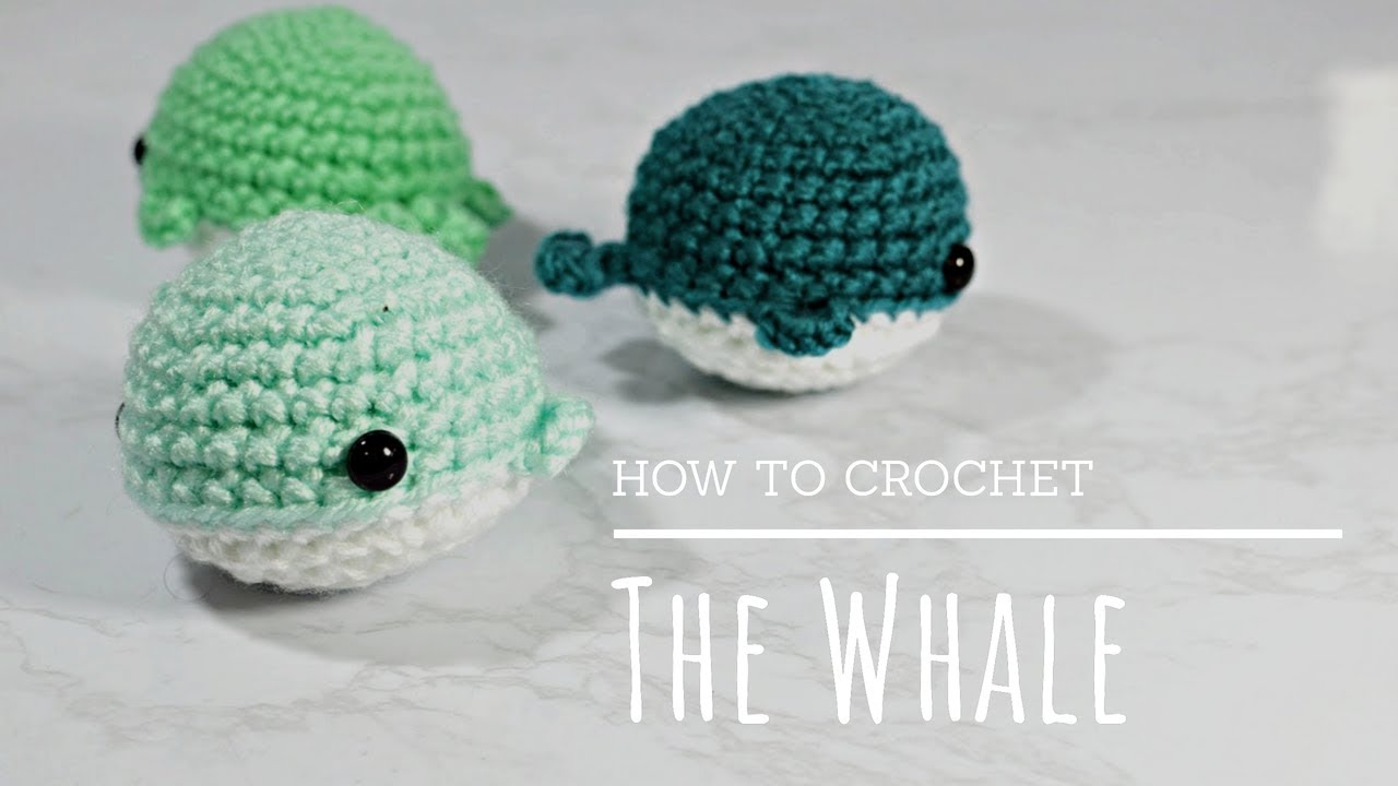 Crochet Whale Pattern How To Crochet Easy Beginners Amigurumi Whale Tutorial Youtube