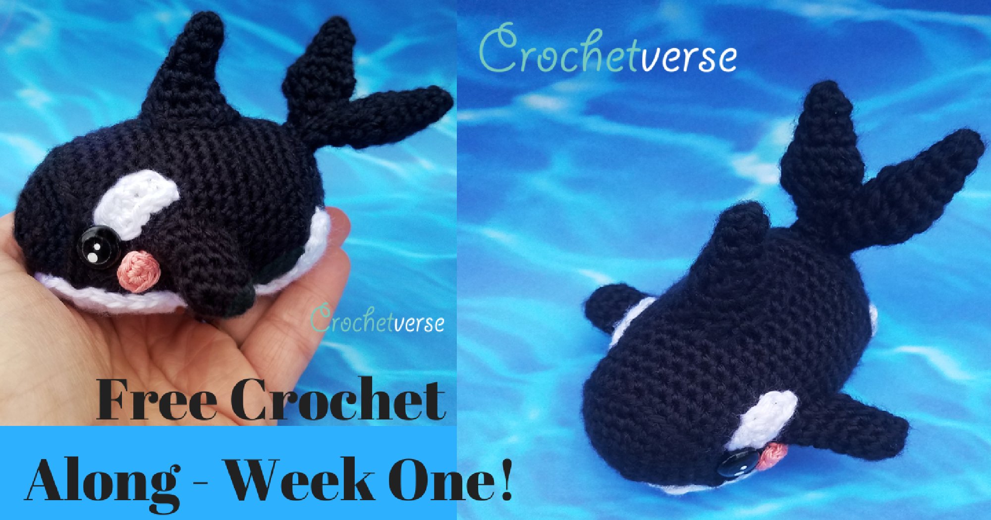 Crochet Whale Pattern Orca Whale Crochet Along Week One Crochetverse
