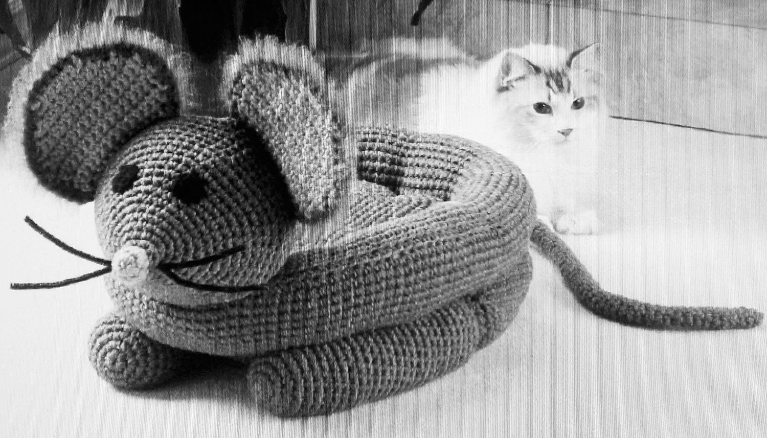 Free Crochet Cat Bed Pattern Free Crochet Mouse Cat Bed Patterns Wwwpicsbud