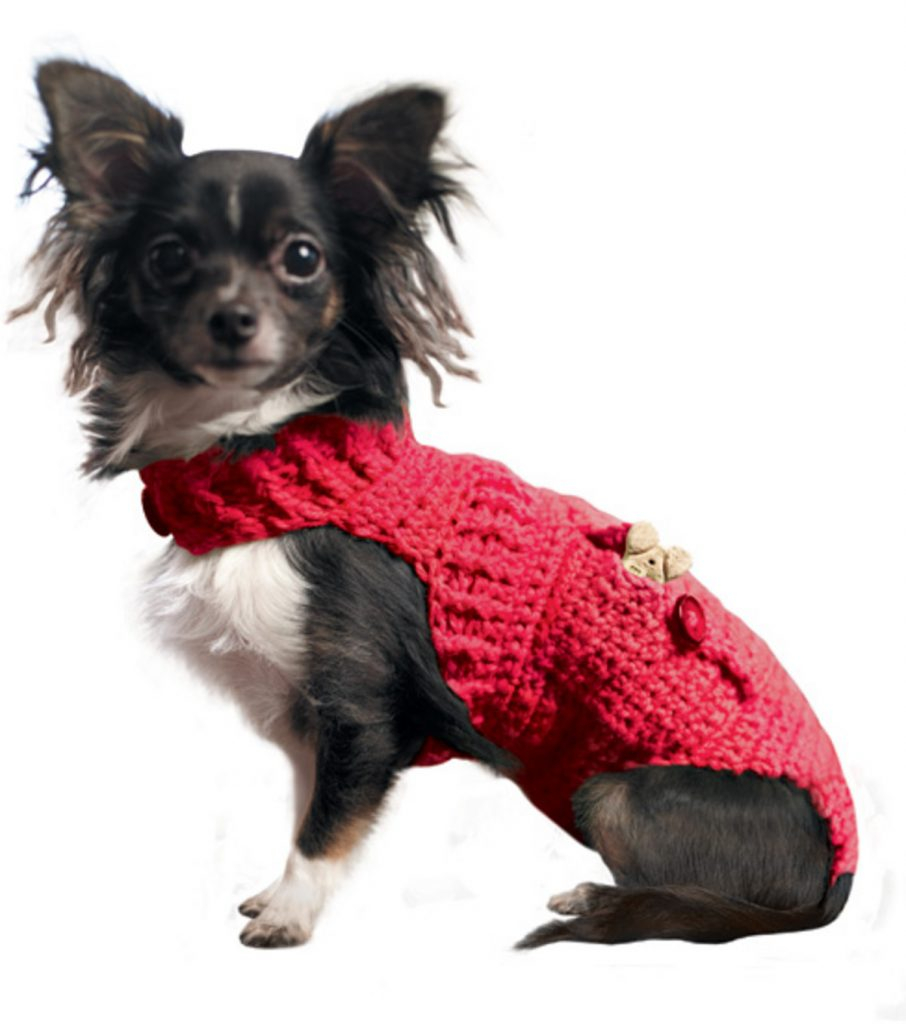Free Crochet Dog Sweater Pattern A Guide To The Best Free Crochet Dog Sweater Patterns Lucy Kate