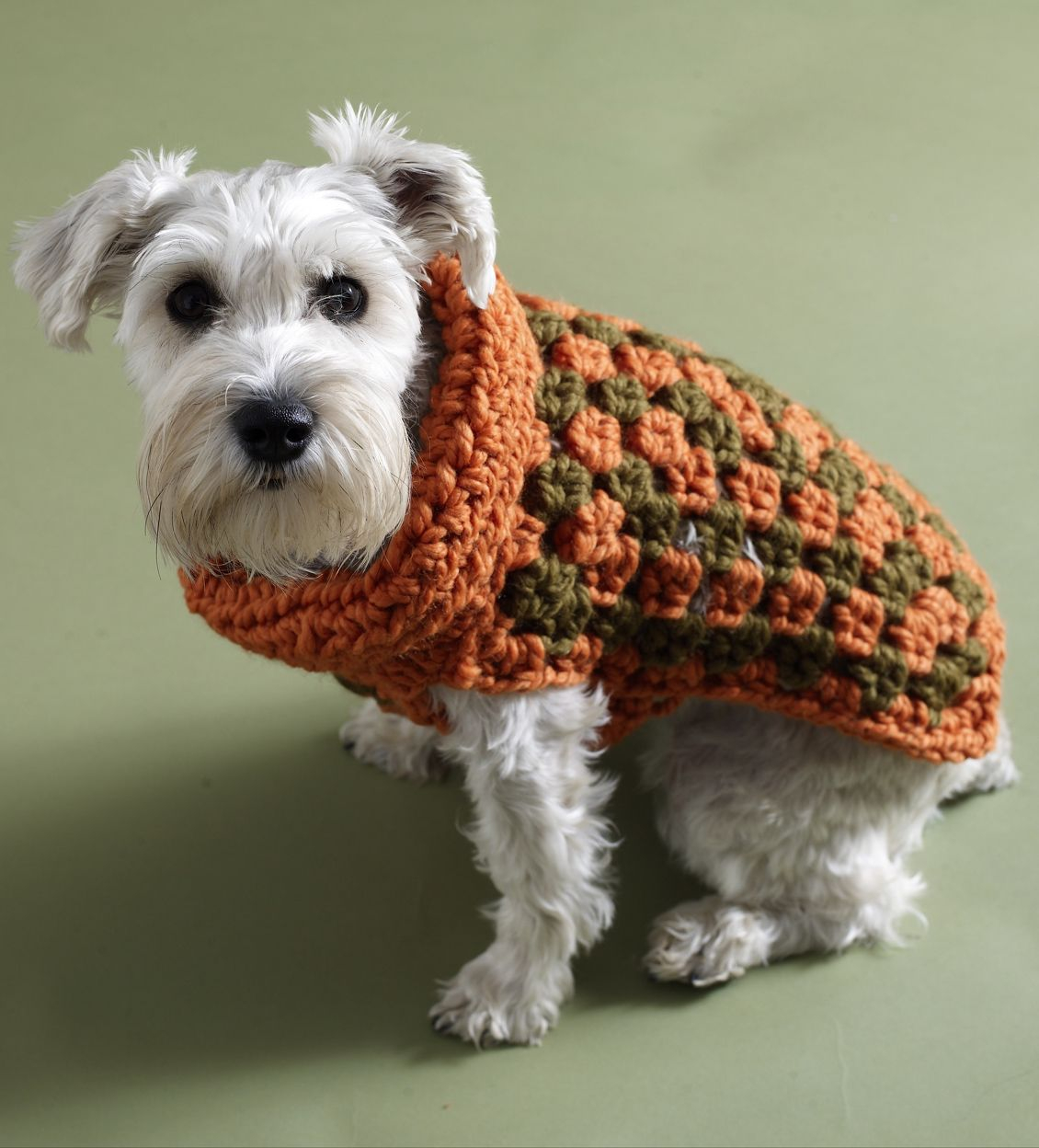 Free Crochet Dog Sweater Pattern Crochet Dog Coat Yarn Pinterest Crochet Crochet Dog Sweater