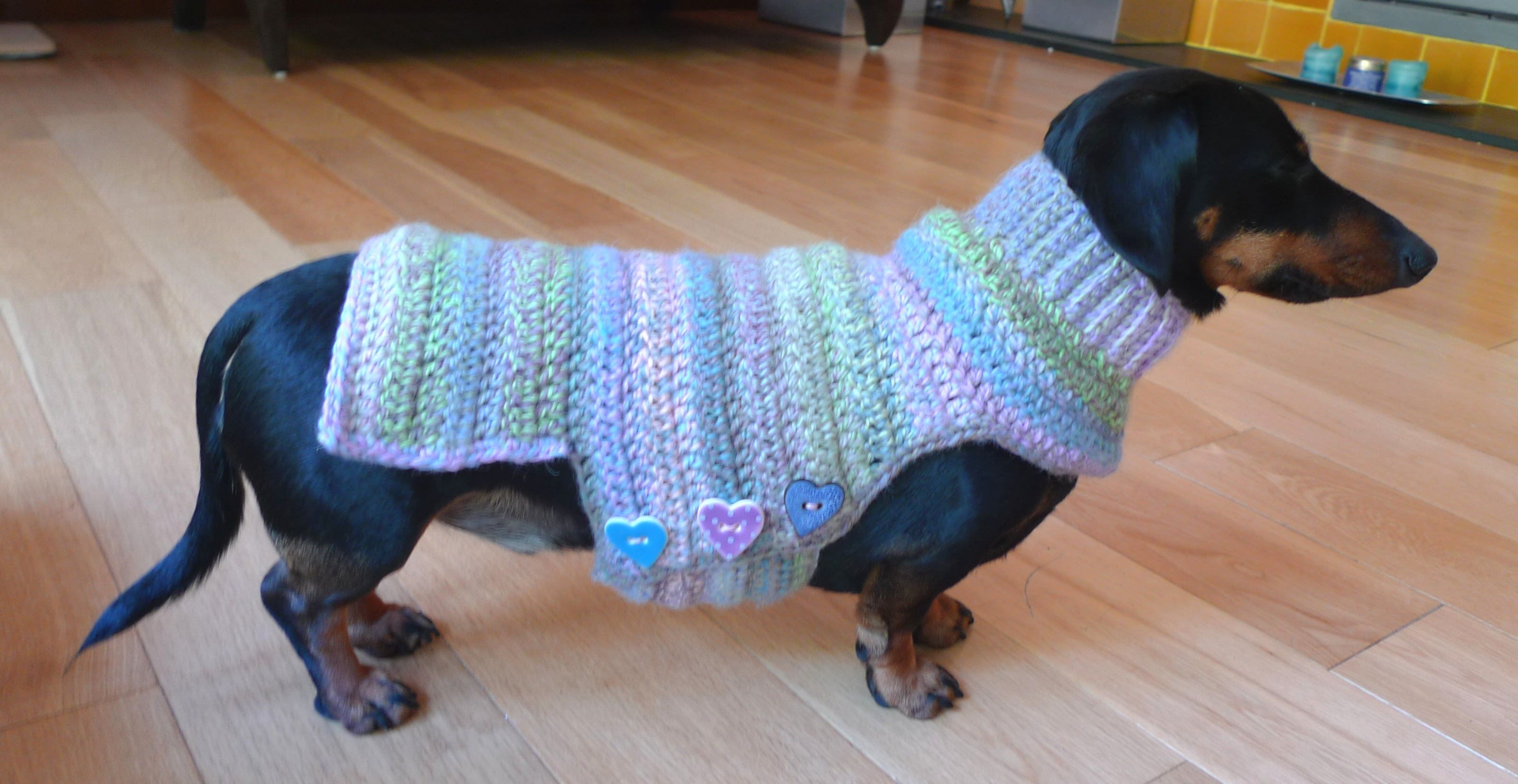 Free Crochet Dog Sweater Pattern Crochet Dog Sweater Parakitamols Blog