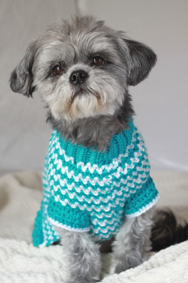Free Crochet Dog Sweater Pattern Crochet Dog Sweater Patterns To Try Out Crochet And Knitting