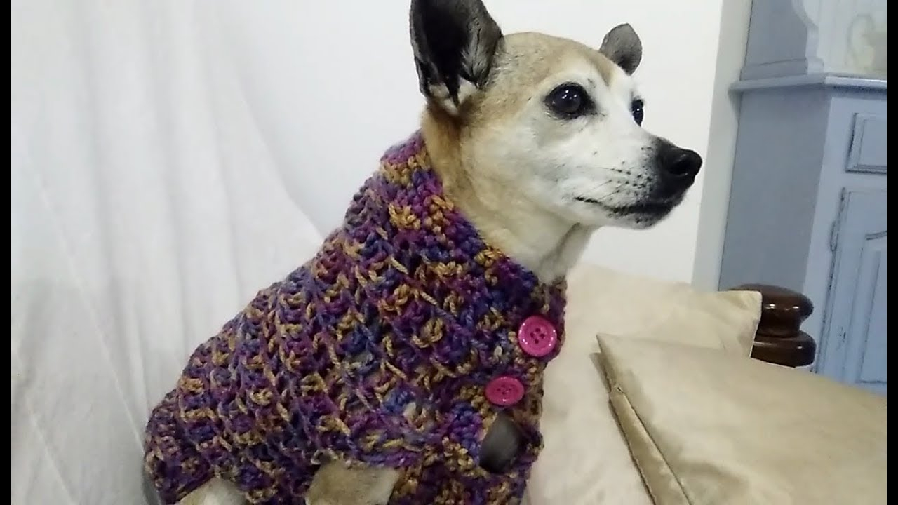 Free Crochet Dog Sweater Pattern Easy Crochet Dog Sweater Any Size Tutorial Youtube