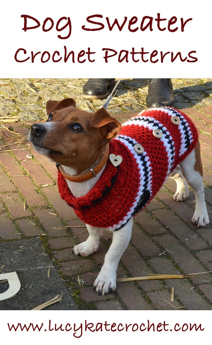 Free Crochet Dog Sweater Pattern Furzapper Dogs Crochet Dog Sweater Dog Sweater Pattern Crochet