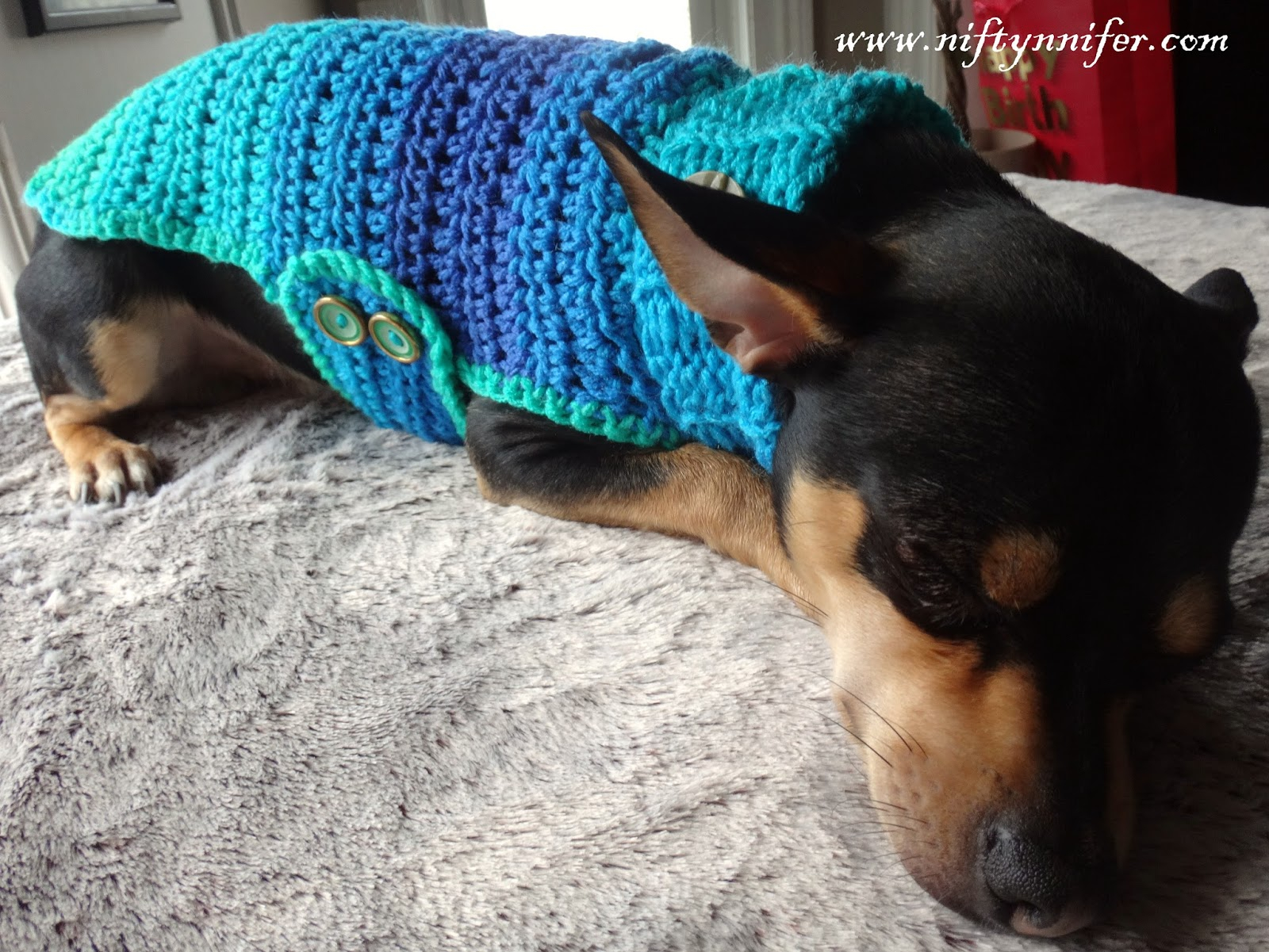 Free Crochet Dog Sweater Pattern Niftynnifers Crochet Crafts Free Crochet Pattern Chihuahua Sweater
