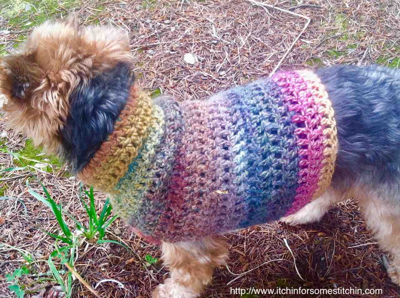 Free Crochet Dog Sweater Pattern Quick Easy Small Dog Crochet Sweater Itchin For Some Stitchin