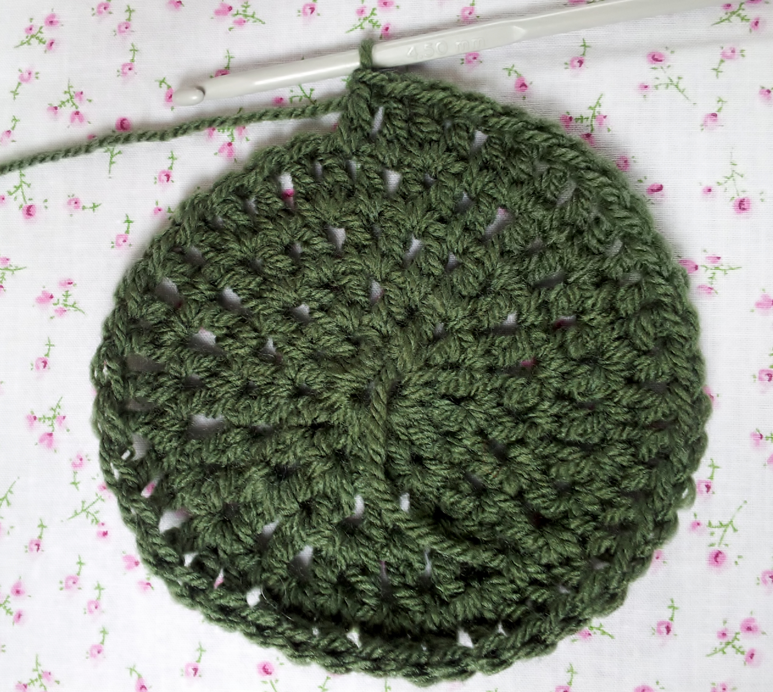 Free Easy Crochet Hat Patterns How To Make A Simple Crochet Hat Free Pattern Thestitchsharer
