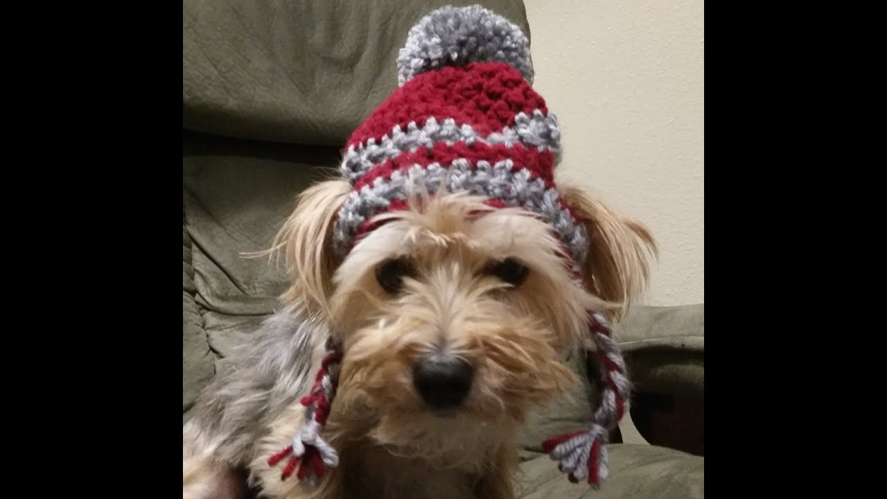 Puppy Dog Crochet Hat Pattern Crochet Hat For Dogs Tutorial Youtube