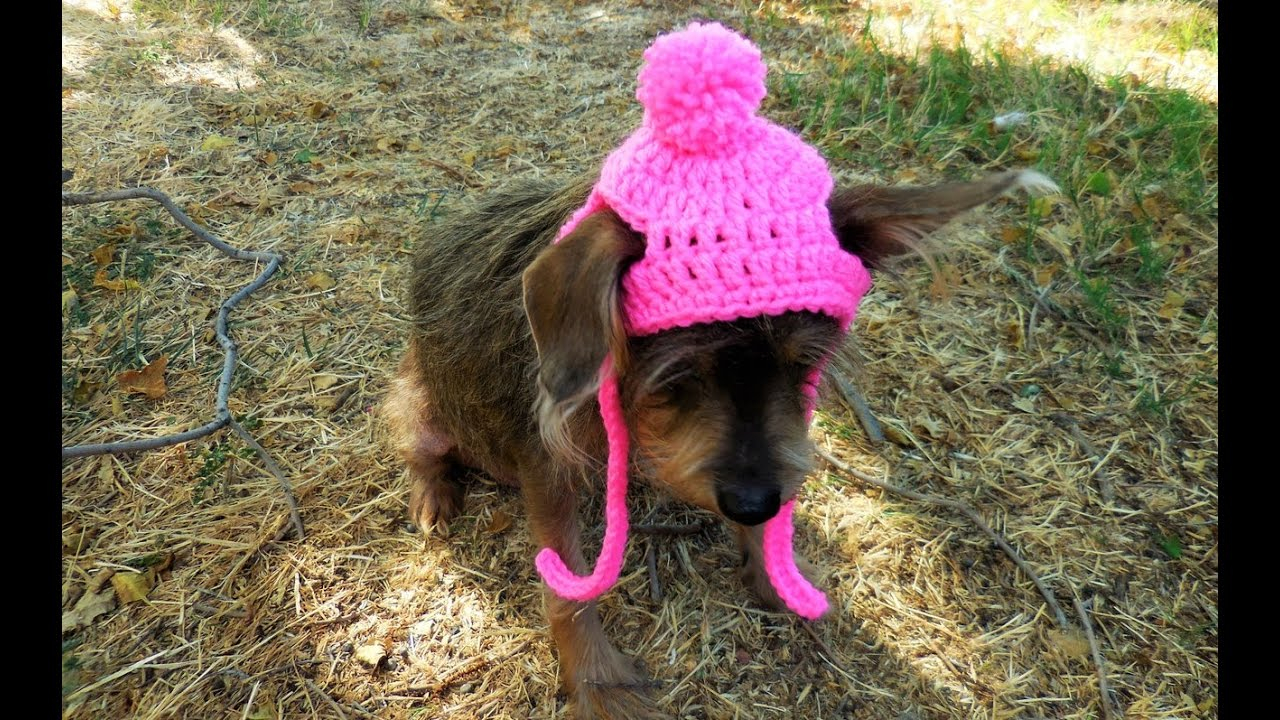 Puppy Dog Crochet Hat Pattern How To Crochet A Dogcat Hat Tutorial Sizexs Small Youtube