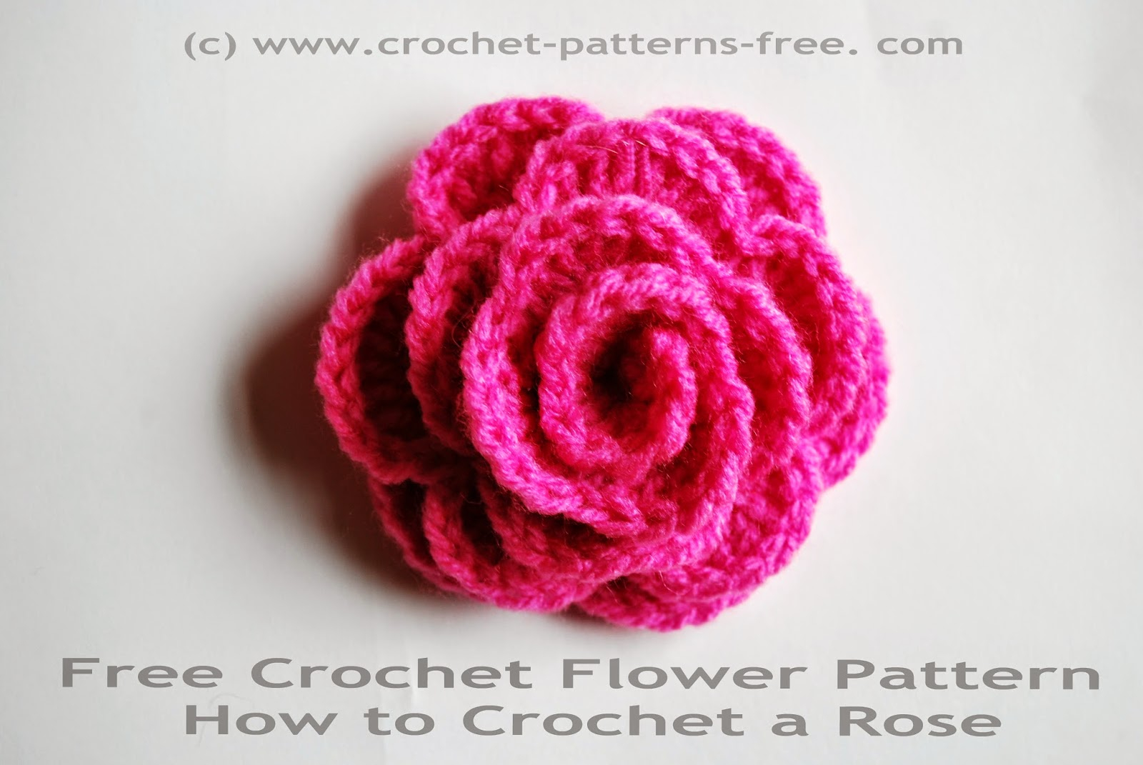 Simple Crochet Rose Pattern Free Crochet Patterns And Designs Lisaauch Free Crochet Flower